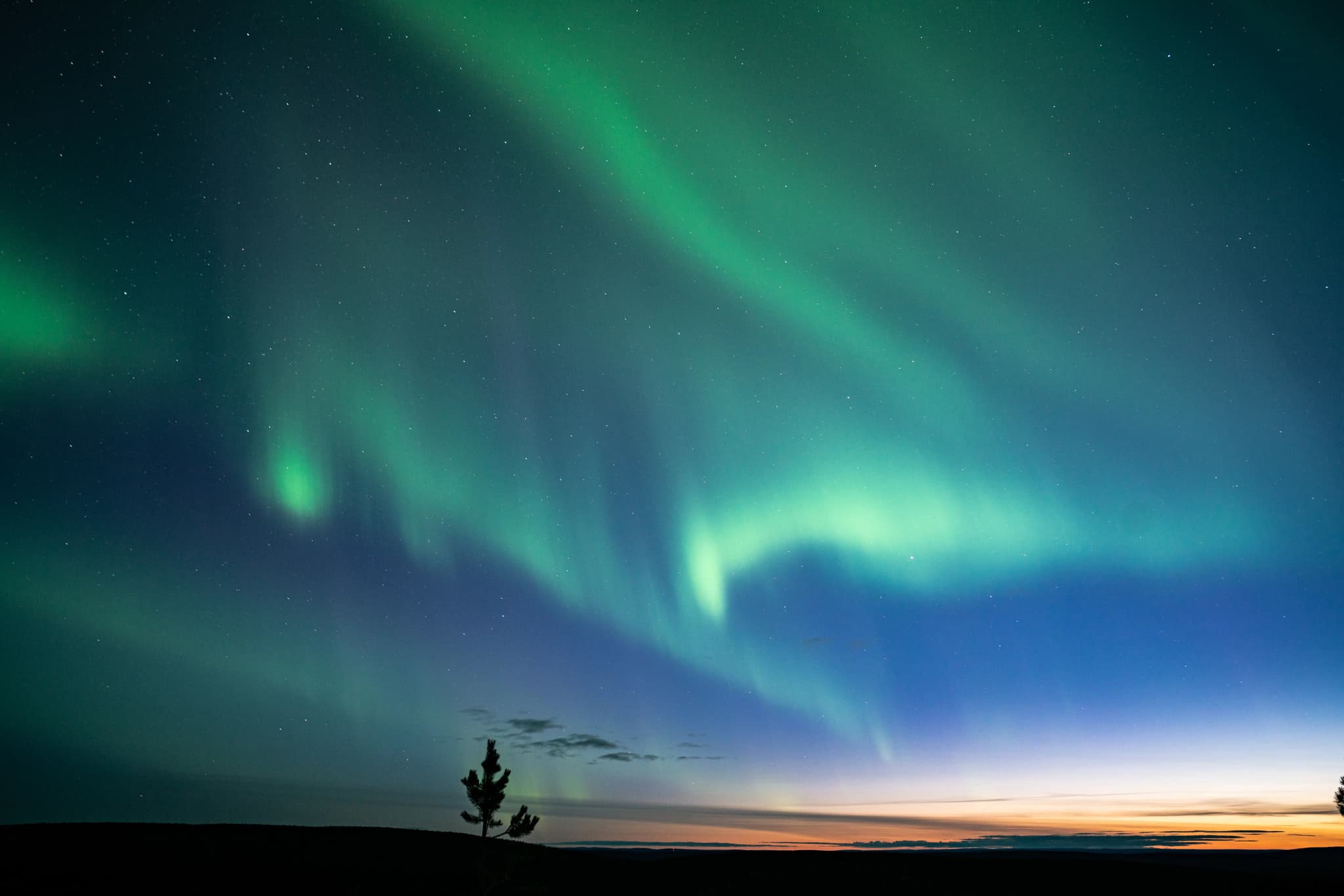 Northern lights over Finnish nature