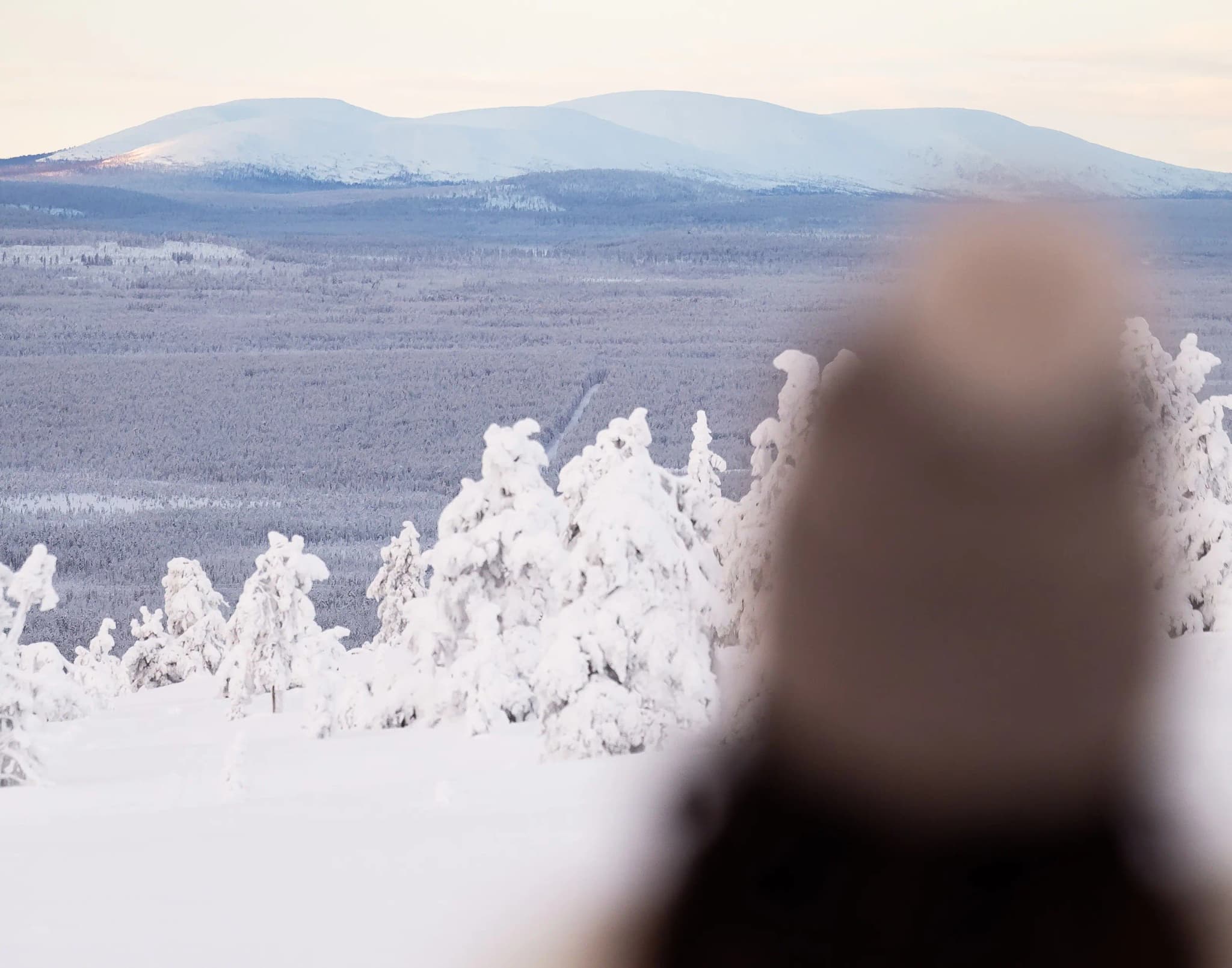 Lapland concierge background