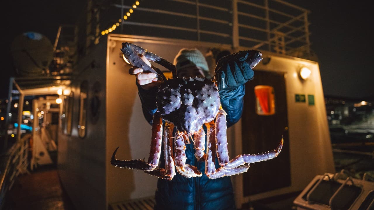 Arctic King Crab Experience