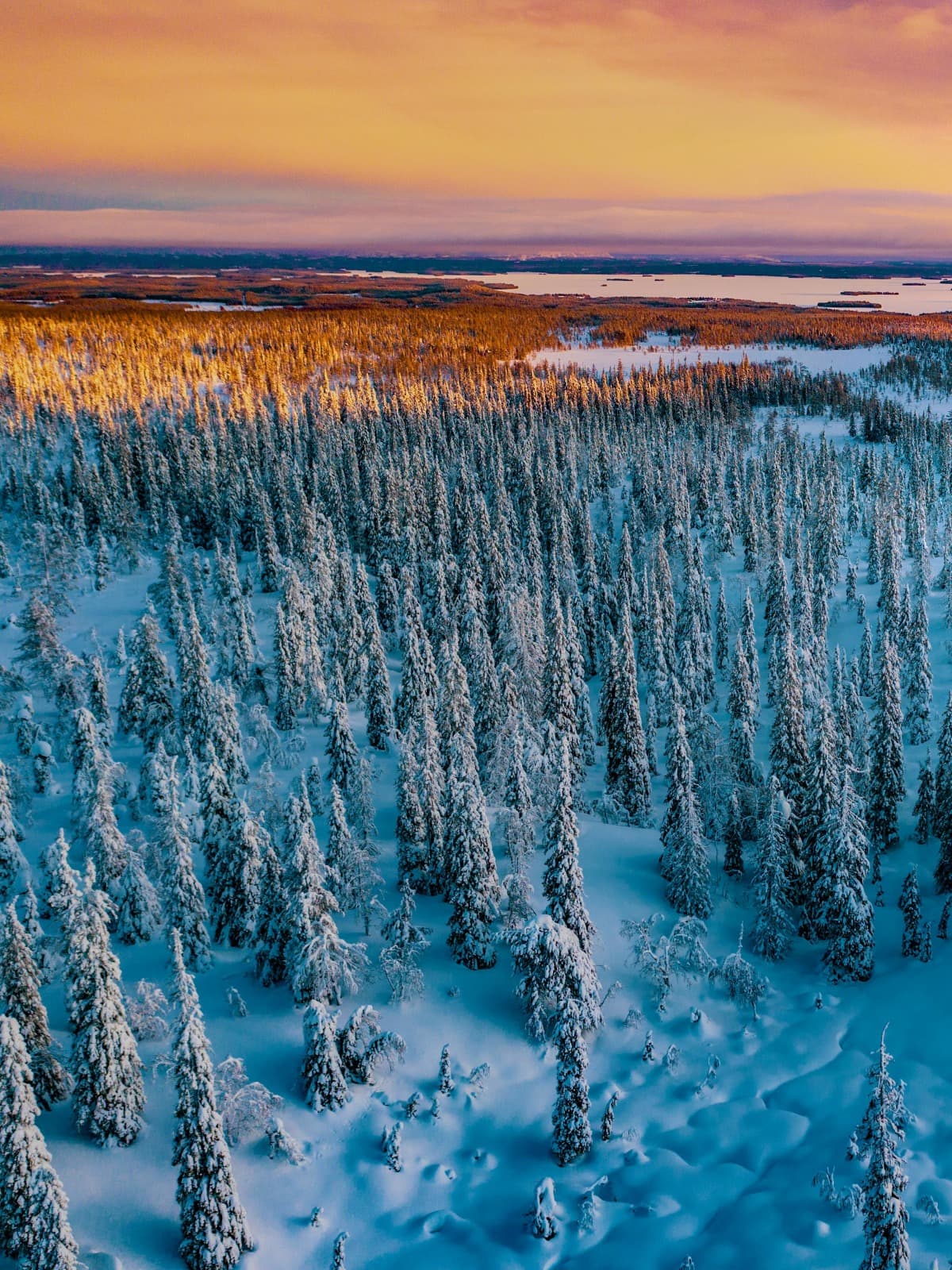 Seasons of Lapland