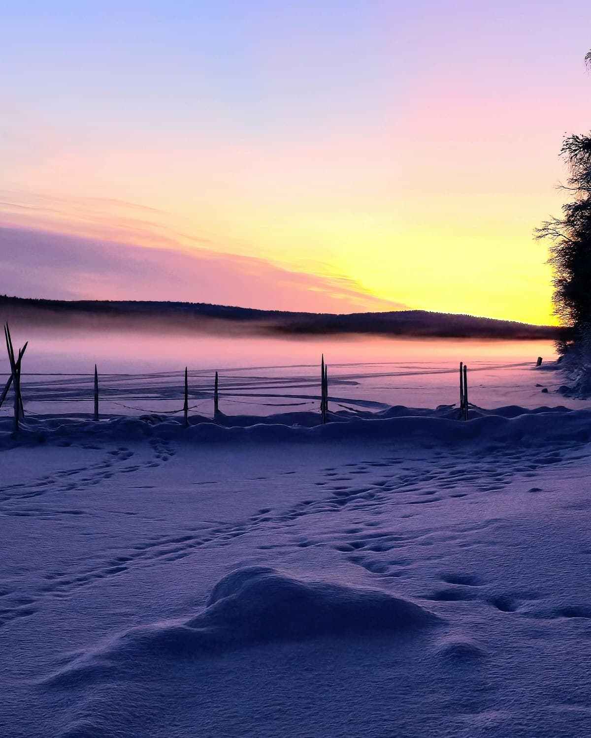Luxury Lapland experience